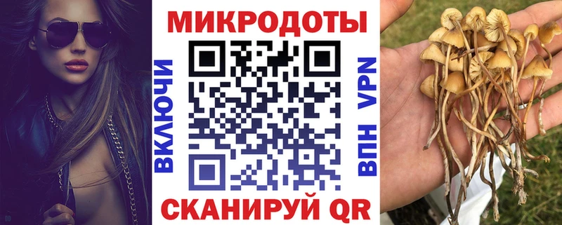 ссылка на мегу как войти  сколько стоит  Карталы  Псилоцибиновые грибы GOLDEN TEACHER 